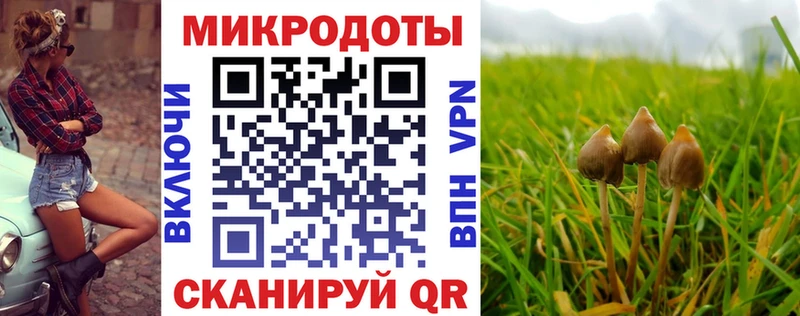 Галлюциногенные грибы мицелий  omg ТОР  Королёв  shop наркотические препараты  где продают наркотики 